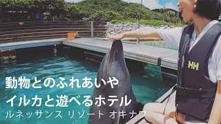 【沖縄】蒼い海にイルカが跳ねるマリンリゾート【ホテル ルネッサンス リゾート オキナワ】