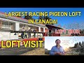 PART 1 OF LOFT VISIT ON STAN GAWEL RACING PIGEONS COLLECTION AROUND THE WORLD! SOLID MGA IBON! 😱