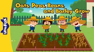 Oats, Peas, Beans, and Barley Grow | Learning Songs | Little Fox | Animated Songs for Kids