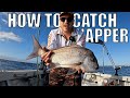 HOW TO: CATCH SNAPPER - Fishing the shallow reefs off Sydney - Reel Fishing Episode 114