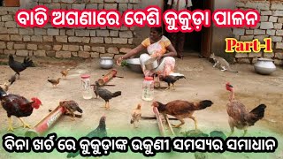 ବିନା ଖର୍ଚ ରେ କୁକୁଡ଼ାଙ୍କ ଉକୁଣୀ ସମସ୍ୟା ର ସମାଧାନ। ବାଡି ଅଗଣାରେ ଦେଶି କୁକୁଡ଼ା ପାଳନ। PART-1