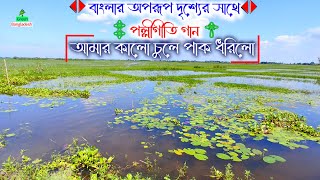 আমার কালো চুলে পাক ধরিলো।। পল্লীগীতি গান ।। polli geeti gaan ।। bangla folk song HD