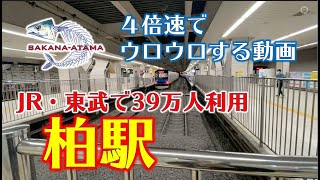 その４２【JR＆東武線／柏駅】４倍速で駅と周辺をウロウロする動画