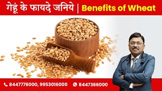 गेहूं के फायदे जनिये | Benefits of Wheat | Dr. Bimal Chhajer | SAAOL