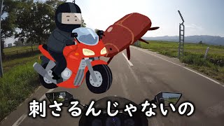 【バイク女子】初めての公道とヤエー【Ninja250】