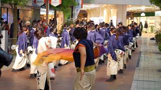 35 かんしゃら 四日市よさこい祭り やったろ舞2017 ふれあいモール会場