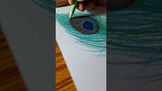 Shree krishna's feather  😍 || peacock🦚feather🪶 drawing with pencil colour😍||#shorts #viral #trending