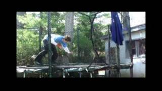 Mini Tramp Edit (Spring)
