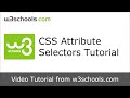 W3Schools CSS Attribute Selectors Tutorial