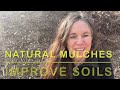 Understanding MULCHES: Types & Benefits + My Secret 🤫 // from Campbell’s Freedom Farm