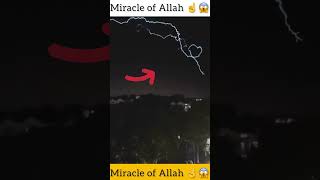Miracle of Allah ☝️🥺||#shorts #Allah #islam #miracles#yaaAllah