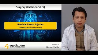 Brachial Plexus Injuries - Obstetrical Brachial Plexus Palsy