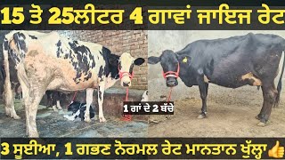 15 ਤੋ 25ਲੀਟਰ 4 ਗਾਵਾਂ ਵੀਕਾਓ। cows for sale/vadiya farm/4-2-25