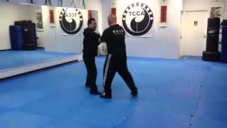 Zhao Bao Tai Chi Push Hands