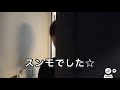 【straykids スキズ　日本語字幕】 ある日のスキズ達〜アギパンのお部屋訪問〜