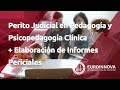 Perito Judicial en Pedagogía y Psicopedagogía Clínica +Elaboración de Informes Periciales-EUROINNOVA