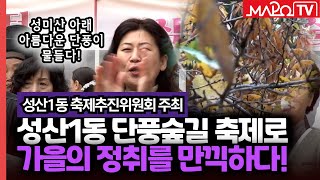 '가을의 정취가 물씬' 성산1동 단풍숲길 축제 열려  / 11월 7일