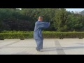 完美的 陈式太极拳老架一路　Once of the best Chen Style Old Form Tai Chi Quan