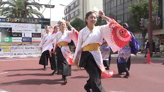 皇學館大学 雅 津まつり 津まつり フェニックス会場(西) JC会場 2023.10.7