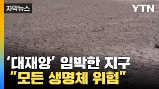 [자막뉴스]  '대재앙' 임박한 지구의 경고 \