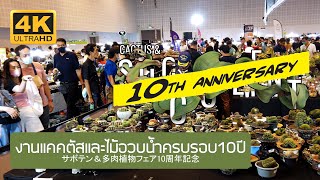 Cactus & Succulents Fair 10 years Anniversary งานแคคตัสและไม้อวบน้ำ ครบรอบ 10 ปี Bangkok Thailand