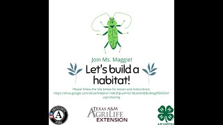 4-H at Home - Shoebox Habitats