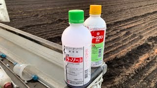 除草剤の使い分け【ほうれん草とコマツナ編】19/11/1