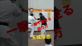 【一撃】で倒せる回し蹴り　　　　　　#karate #空手 #keris #キックボクシング