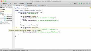75.Java Tutorial - #75 - instanceof Keyword