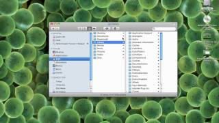 Options txt. cheat tutorial - mac - RCT3