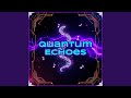 Quantum Echoes