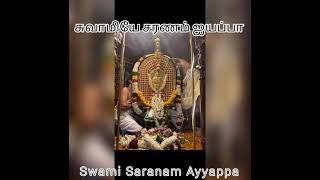 #ஓம் சாமியே சரணம் ஐயப்ப  ஐயப்பசாமி ஆராட்டு விழா உற்சவம் #திருப்பூர்