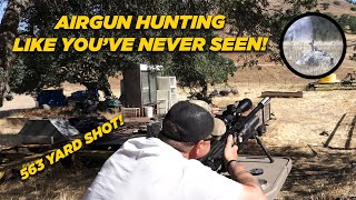 Airgun Hunting Like You've Never Seen!