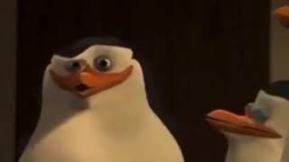 Shitpost Kaboom
