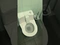 Public Toilets in Germany that cleans the toilet seat with sanitizer automatically after flushing.