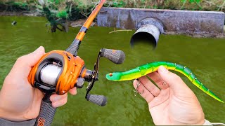Fishing a Snake Lure for Pond MONSTERS!