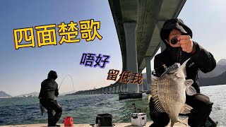 《四面楚歌》￼￼￼隔離左右都中魚，為何剩下我！是子線？流水？還是⋯⋯