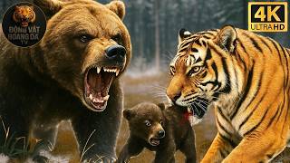 Siberia Băng Giá | Những Cuộc Chiến Sinh Tử Của Kẻ Đứng Đầu - Thế giới động vật