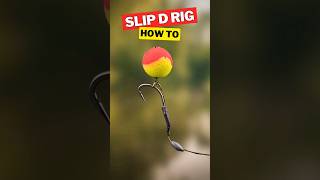 Quick Guide: Slip D Rig for Carp Fishing