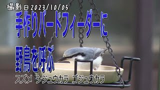 手作りバードフィーダーに野鳥を呼ぶ スズメ シジュウカラ ゴジュウカラ【シニアの野鳥観察】