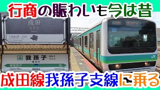 成田線我孫子支線　かつては行商で賑わった、千葉県北部、水に囲まれた街を走る鉄道路線に乗ってきた