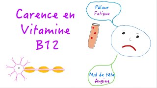 Déficit en vitamine B12 - Causes, Symptômes, Diagnostic et Prise en charge