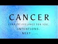 CANCER ♋️ THIS PERSON DOESNT WANT YOU TO GO ANYWHERE ….. July 2024