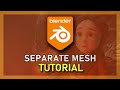 Blender - How To Separate Mesh
