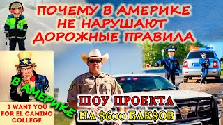 Сосед ворует пустые коробки и воду на паркинге в Америке. Штрафы в США - инфа из уст полицейского.