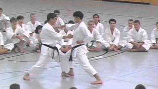 H.Kanazawa sensei - 1994. Ippon-kumite. Karate.