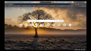 RefWorks Basics