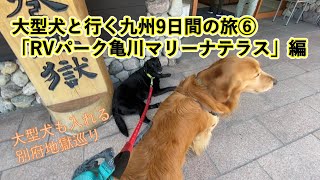 大型犬と行くキャンピングカー九州旅行⑥　RVパーク「亀川マリーナテラス」編