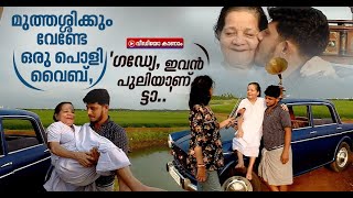 പാട്ടും കേട്ട് പാടത്ത് 'ഈവനിംഗ് ചില്‍'; തൃശ്ശൂരിലെ അമ്മച്ചിയും കൊച്ചുമോനും വെറൈറ്റിയാണ്