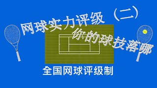 网球 - 常识 5 - 网球实力评级 (二) NTRP 全国网球评级制, 你认为你的网球球技, 是在那个级别